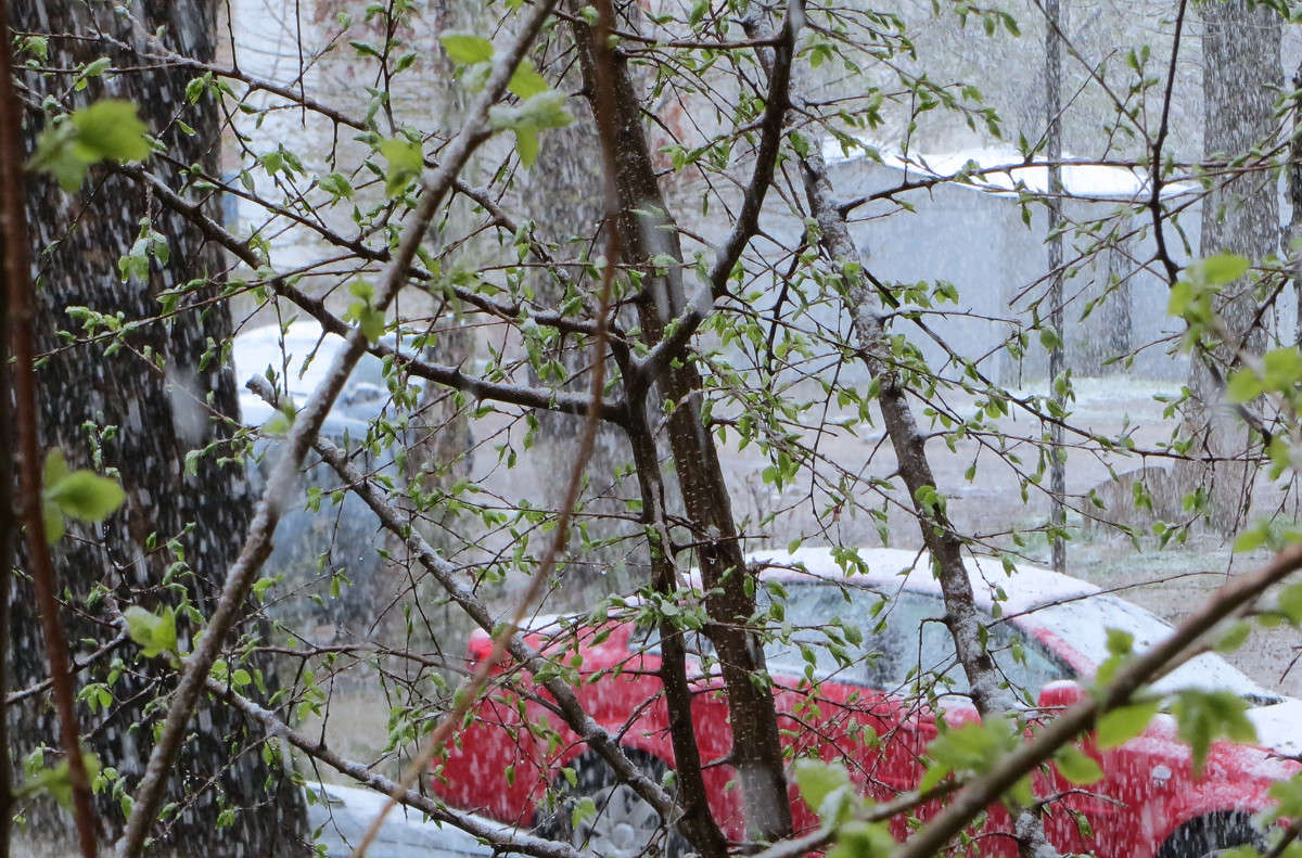 ������� ����� ����� ������� �� PhotoGeek.ru #����� #������ ��� �������