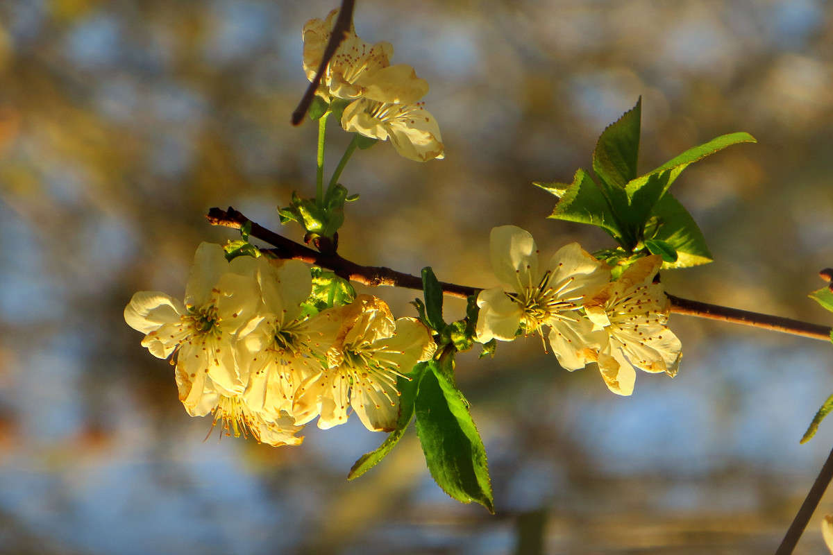 ��������� ��������! ����� ����� ������� �� PhotoGeek.ru #������ ��� ������� #�����