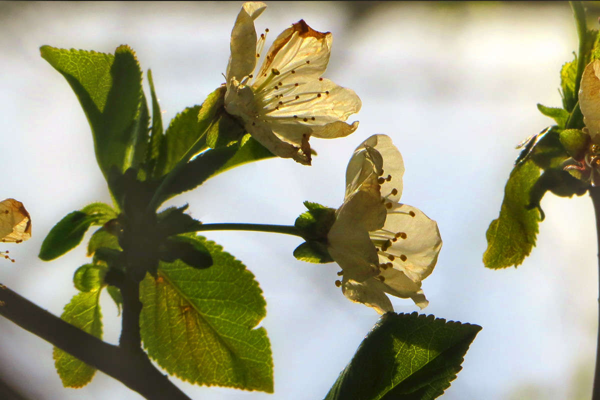 ������ ���� ����� ����� ������� �� PhotoGeek.ru #������ ��� ������� #�����