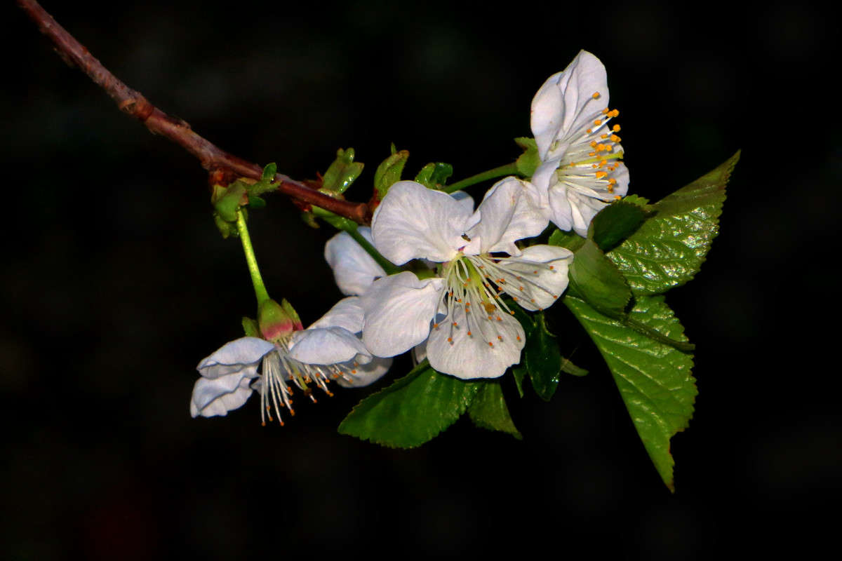 ����� �� ������ ����� ����� ������� �� PhotoGeek.ru #������ ��� ������� #�����