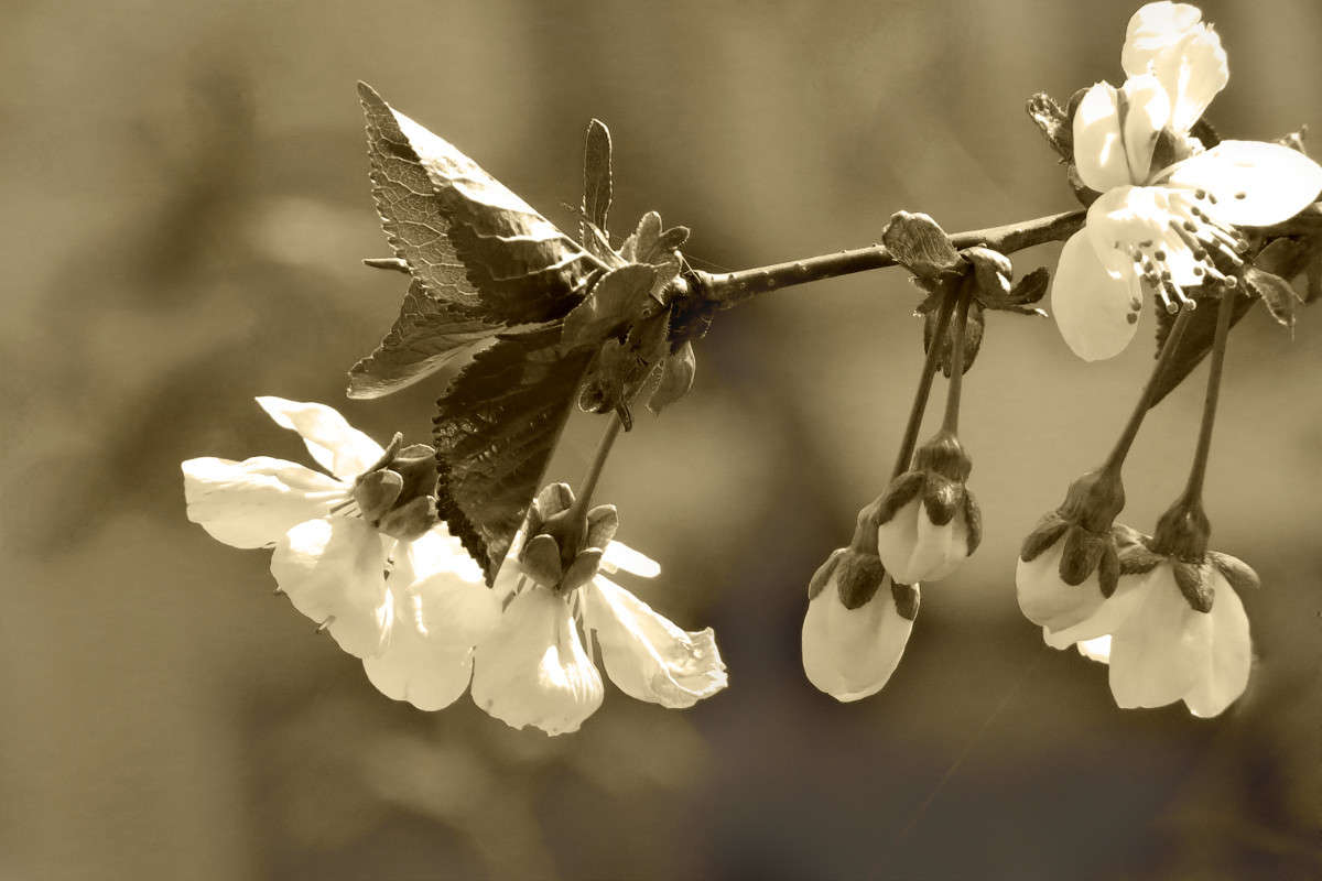 ��������! ����� ����� ������� �� PhotoGeek.ru #������ ��� ������� #�����