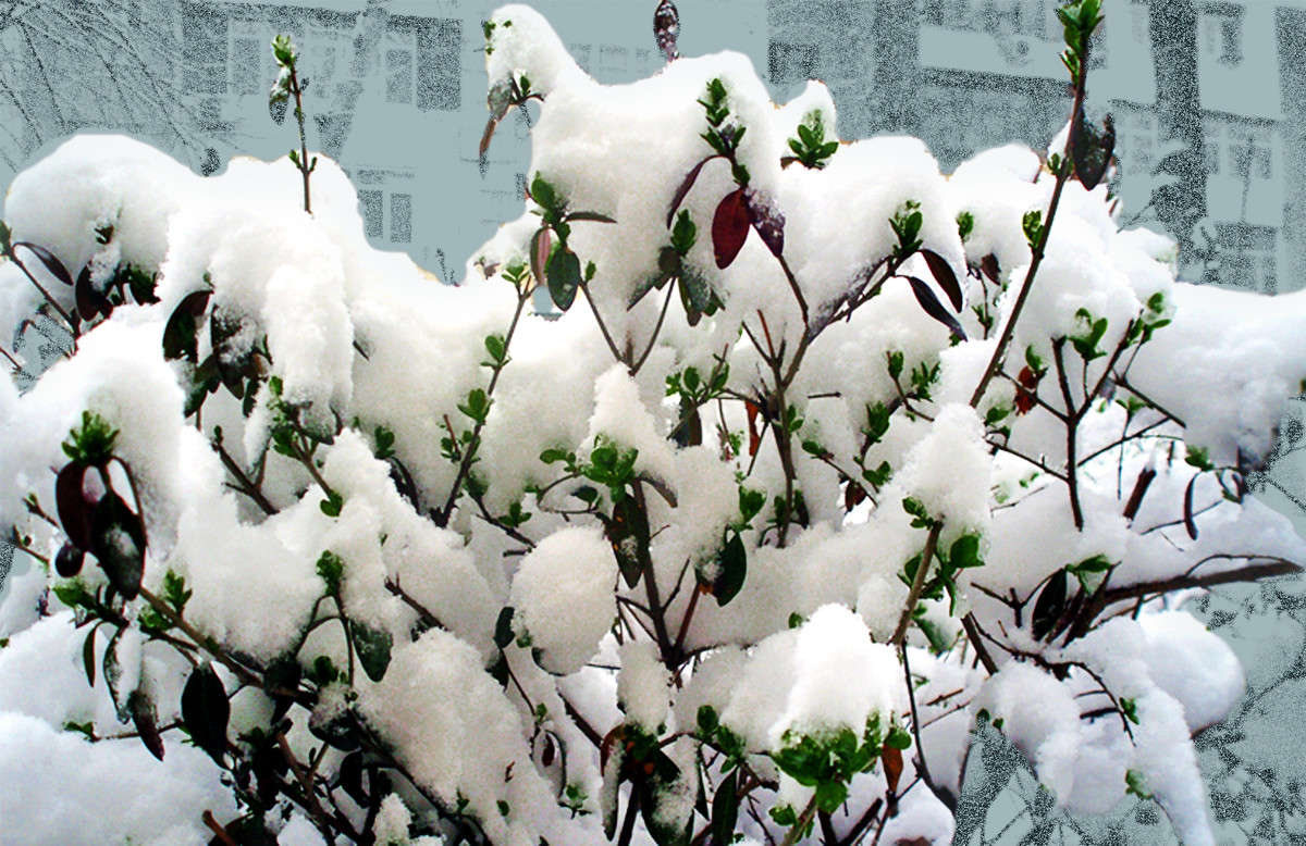 �������� ���� -1 ����� ����� ������� �� PhotoGeek.ru #������ ��� ������� #�����