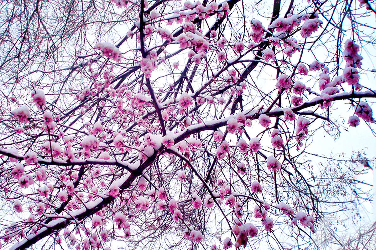 �������� ���� -2 ����� ����� ������� �� PhotoGeek.ru #������ ��� ������� #�����