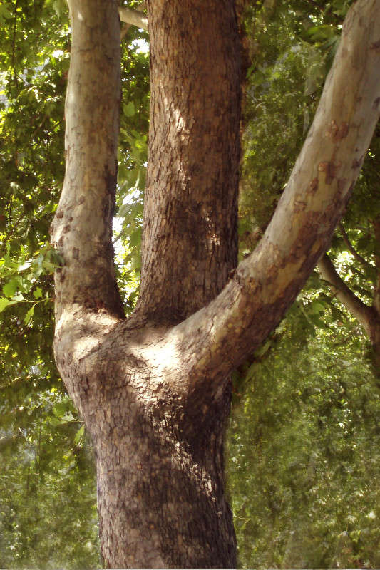 ������� ����� ����� ������� �� PhotoGeek.ru #������ ��� ������� #����� ��������