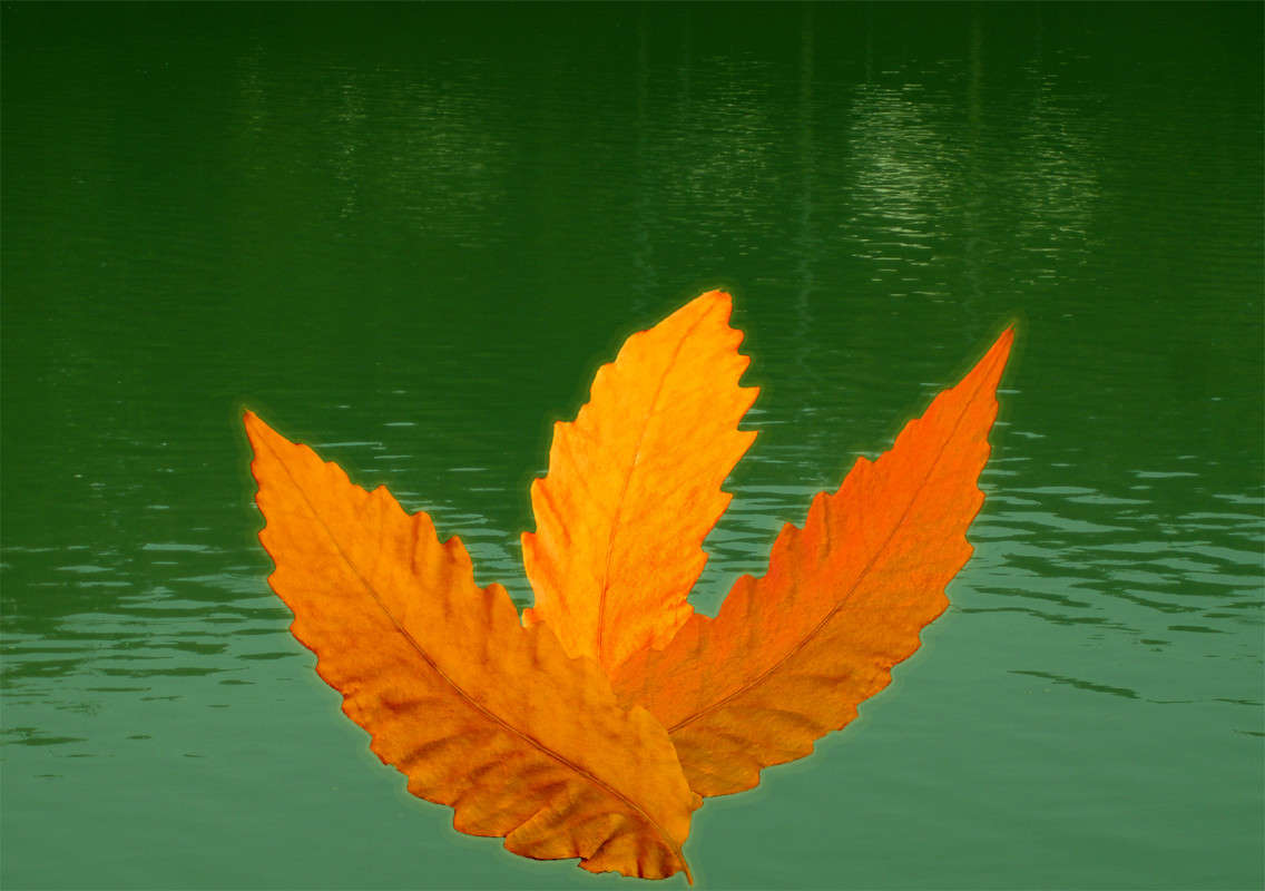 ��������� ����� ����� ������� �� PhotoGeek.ru #������