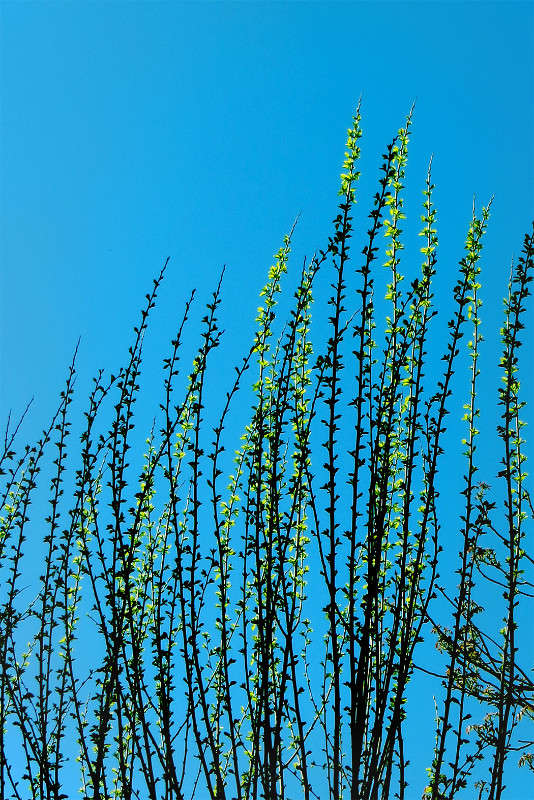 ���� � ����- 1� ����� ����� ������� �� PhotoGeek.ru #������ ��� ������� #�����