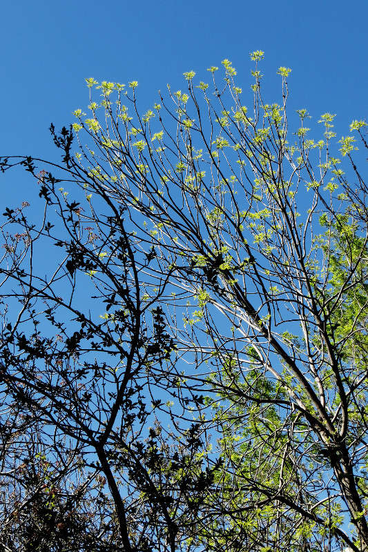 ���� � ���� - 2� ����� ����� ������� �� PhotoGeek.ru #������ ��� ������� #�����