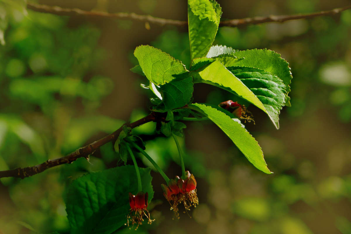 �� ����� �������� -2 ����� ����� ������� �� PhotoGeek.ru #������ ��� ������� #�����