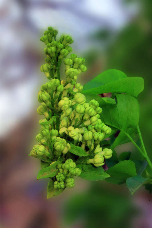 *** ����� ����� ������� �� PhotoGeek.ru #������ ��� ������� #����� #����� ��������������