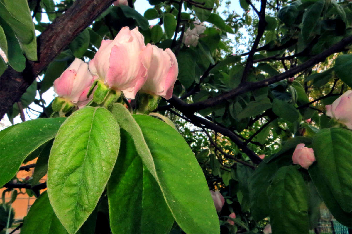 ���������� ����� ����� ������� �� PhotoGeek.ru #������ ��� ������� #�����