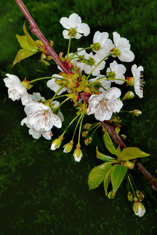 ������� ����� ����� ������� �� PhotoGeek.ru #������ ��� ������� #�����