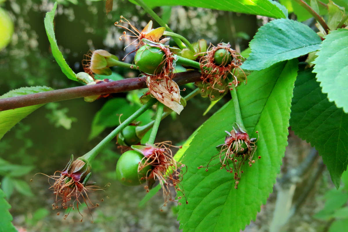 ������� ����� ����� ����� ������� �� PhotoGeek.ru #������ ��� ������� #����� ��������������