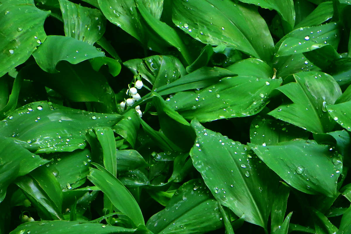 ����� ����� ����� ����� ������� �� PhotoGeek.ru #������ ��� ������� #����� �������������� #���������