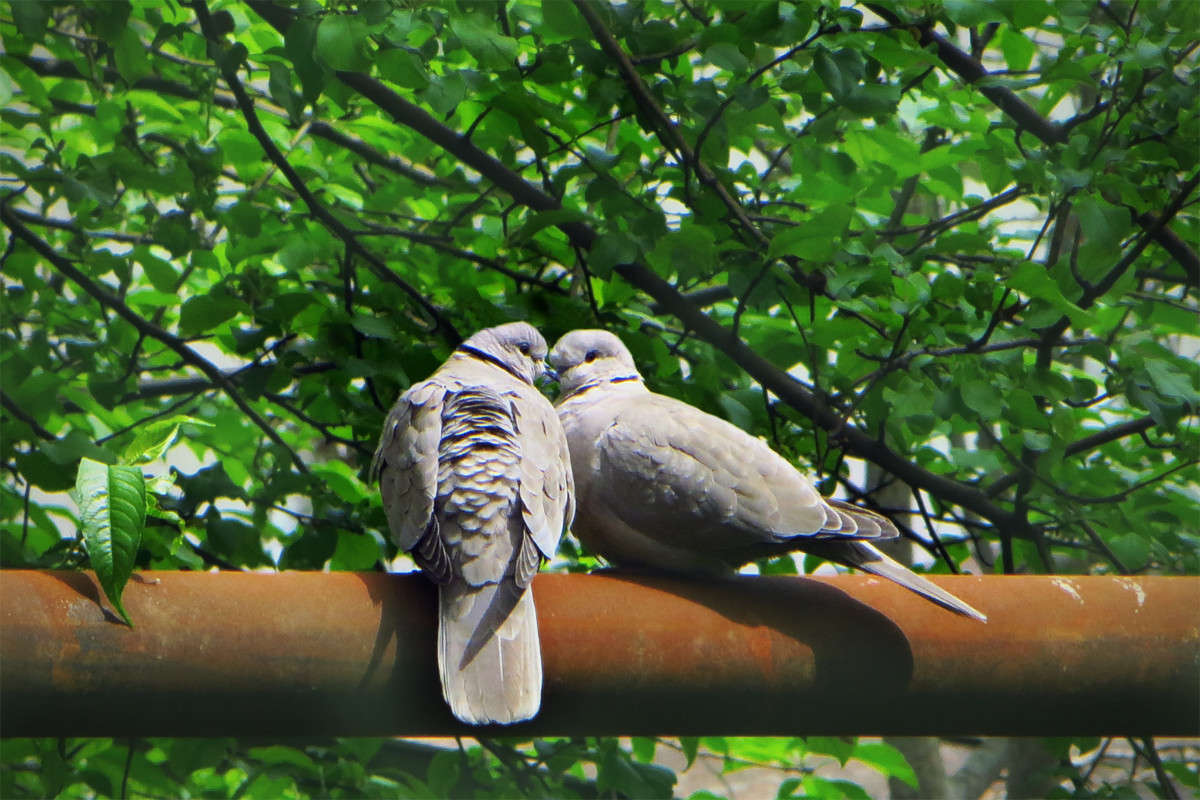 �������. ����� ����� ������� �� PhotoGeek.ru #�������� ��� #����� ��� ��� ���������