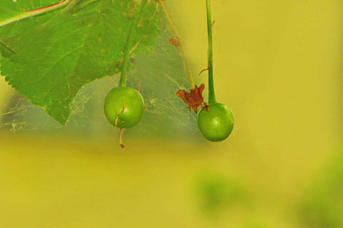 *** ����� ����� ������� �� PhotoGeek.ru #������ ��� ������� #����� ��������������