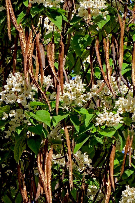 �������� ����� ����� ������� �� PhotoGeek.ru #������ ��� ������� #����� #����� ��������������