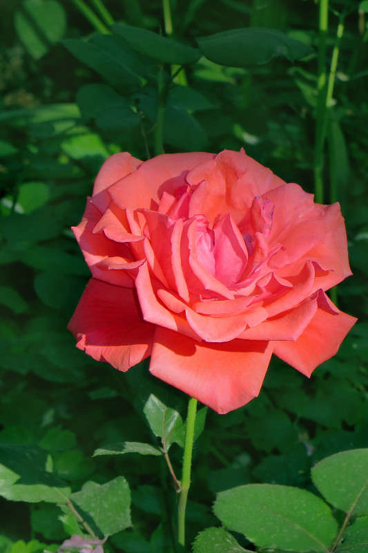 �������� �������� ����� ����� ������� �� PhotoGeek.ru #������ ��� ������� #����� �������������� #�����