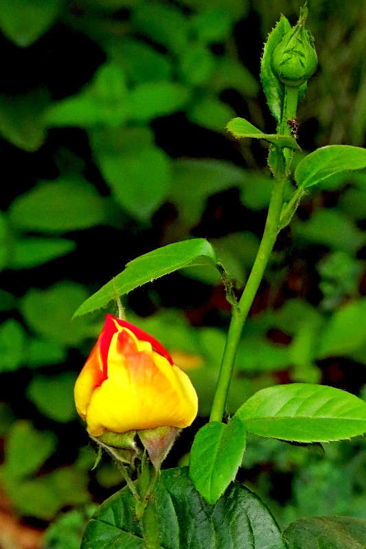 ��������� ����� ����� ����� ������� �� PhotoGeek.ru #������ ��� ������� #����� �������������� #�����