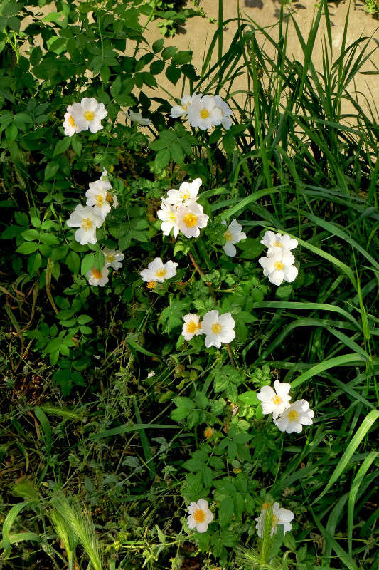 ����� �������� ����� ����� ������� �� PhotoGeek.ru #������ ��� ������� #����� ��������������