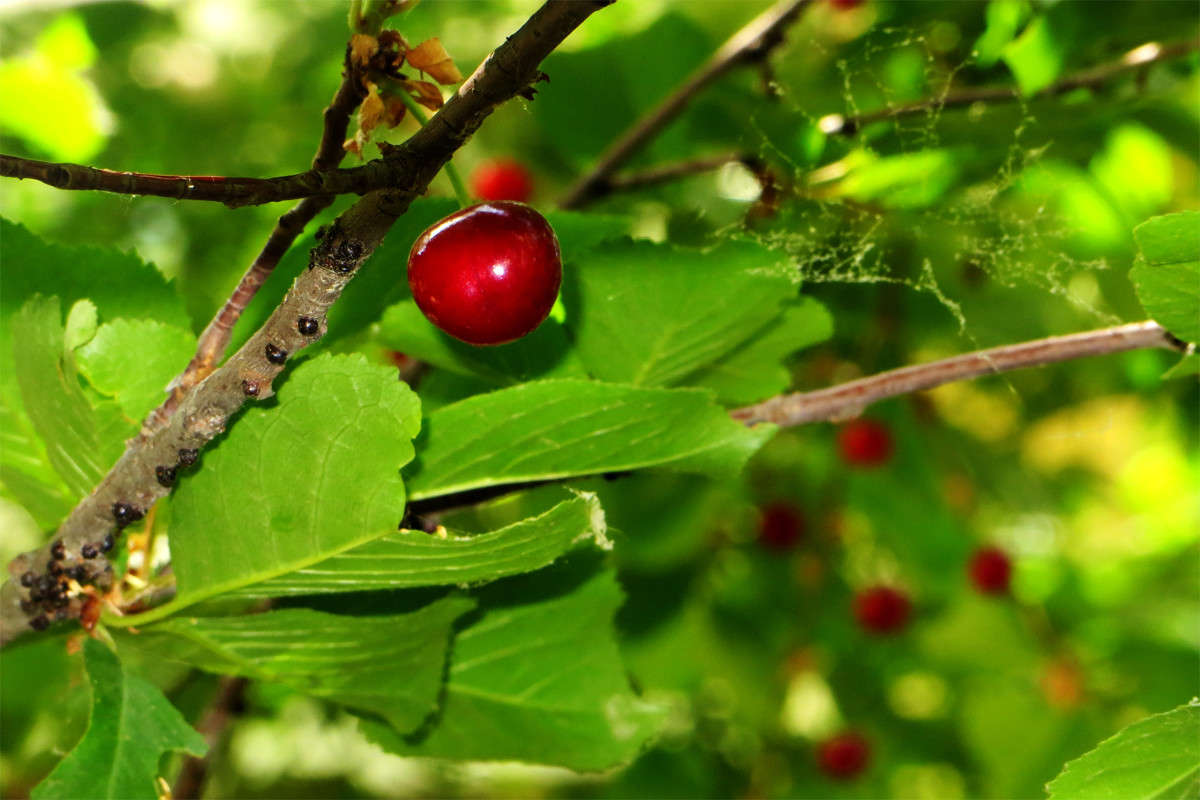 ������� ����� ����� ������� �� PhotoGeek.ru #������ ��� ������� #����� ��������������