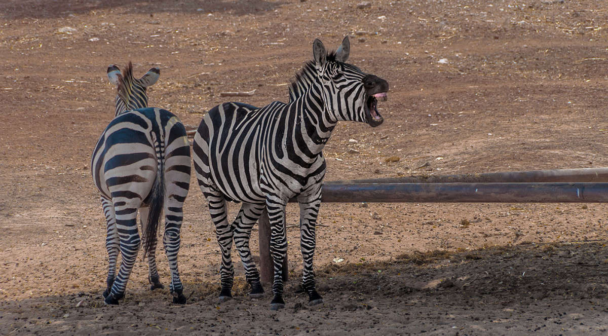 ��-�-���-�-��... ����� �������  �� PhotoGeek.ru #�������� ��� #������ ��� �������