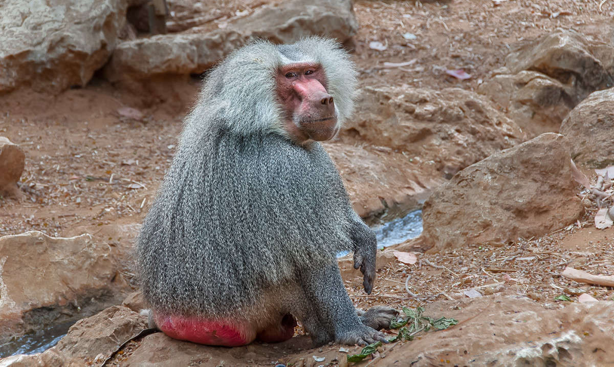 ����� ����������� ����� �������  �� PhotoGeek.ru #�������� ��� #����� ��� ��� ���������