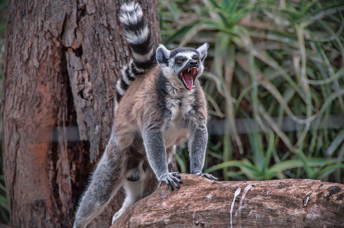 ������ ����� �������  �� PhotoGeek.ru #�������� ���