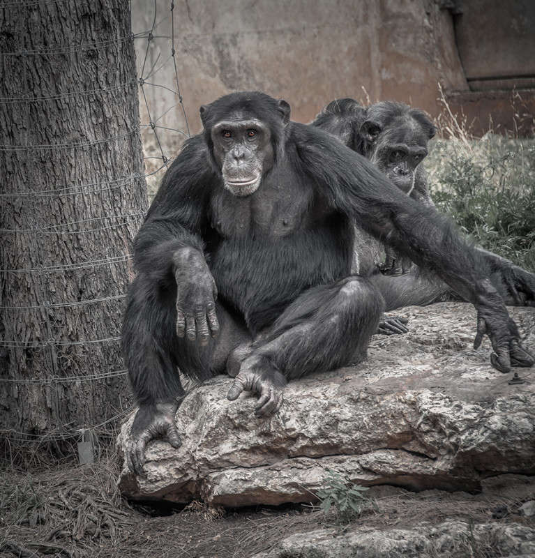 ������� ����� �������  �� PhotoGeek.ru #�������� ���