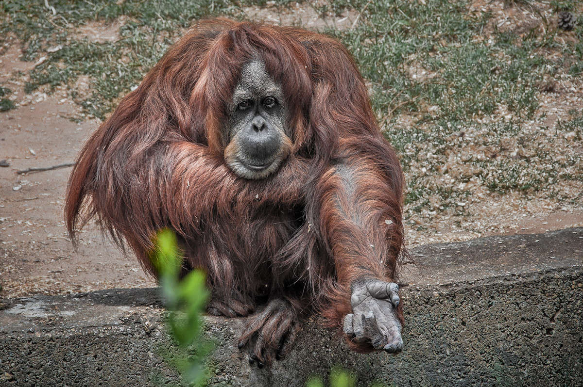 ��� ���� ��� �������� ����� �������  �� PhotoGeek.ru #�������� ���