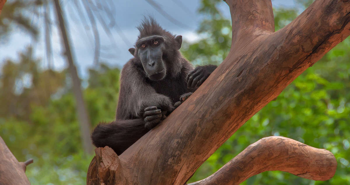 *** ����� �������  �� PhotoGeek.ru #�������� ���