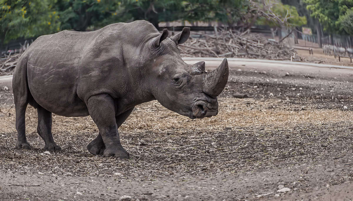 ��������... ���� ���. ����� �������  �� PhotoGeek.ru #�������� ���