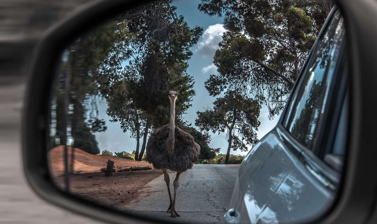 ���������� ����� �������  �� PhotoGeek.ru #�������� ���