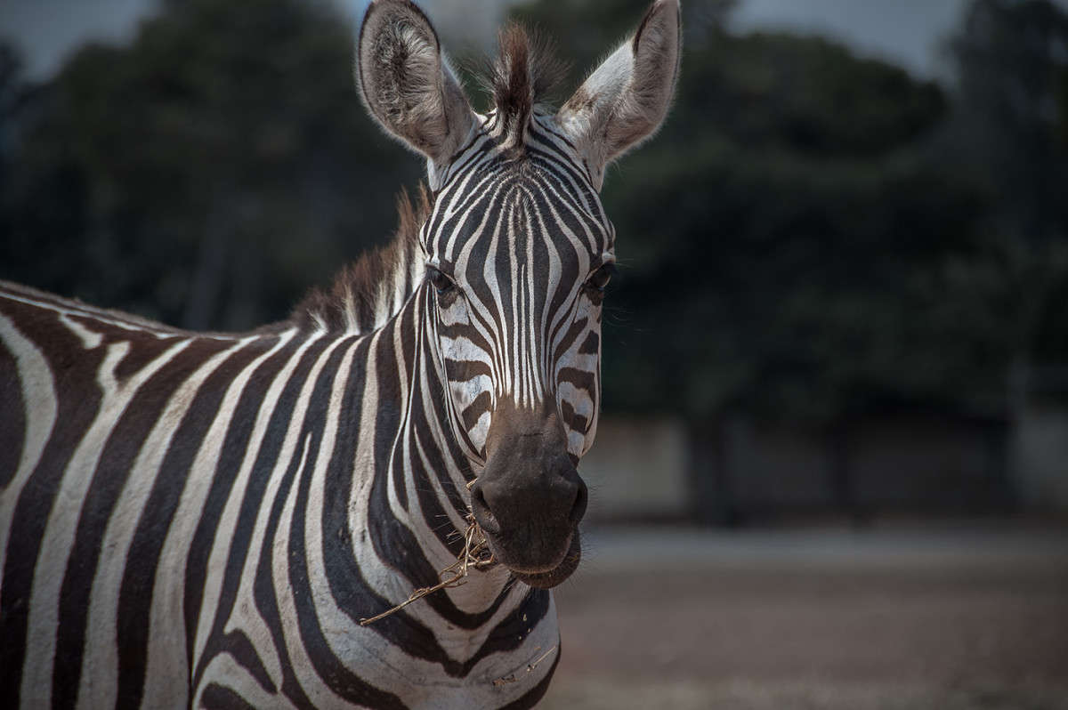 ����� ����� �������  �� PhotoGeek.ru #�������� ���