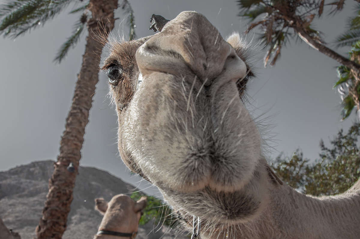 ����� ����� �������  �� PhotoGeek.ru #�������� ���