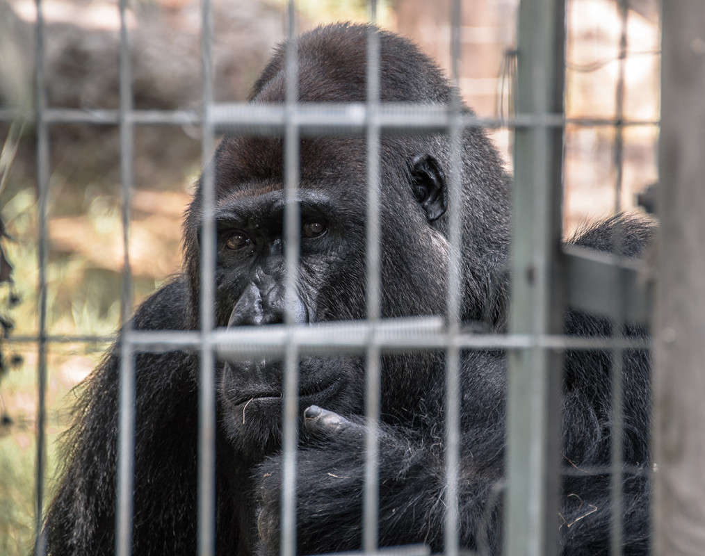 �� ���? ����� �������  �� PhotoGeek.ru #�������� ���