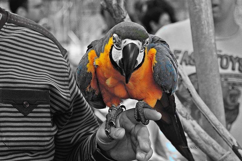 �����. ����� �������  �� PhotoGeek.ru #�������� ��� #���-����������� #�����-�����