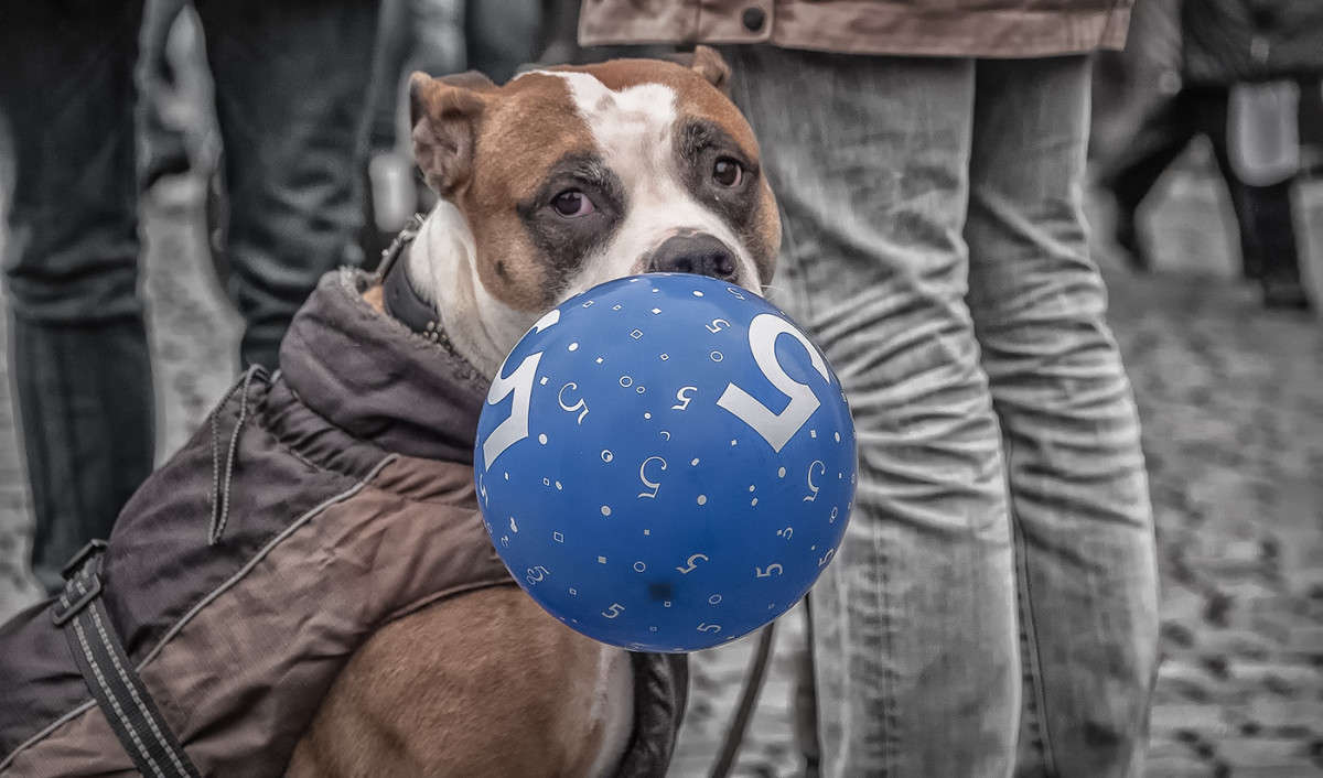 ��������� ����� �������  �� PhotoGeek.ru #����� #�������� ��� #������ ����