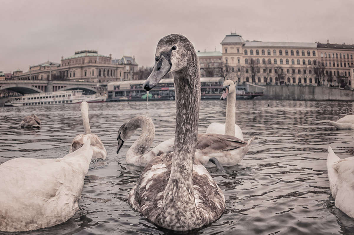 ���� ����� ����� �������  �� PhotoGeek.ru #�������� ��� #�������