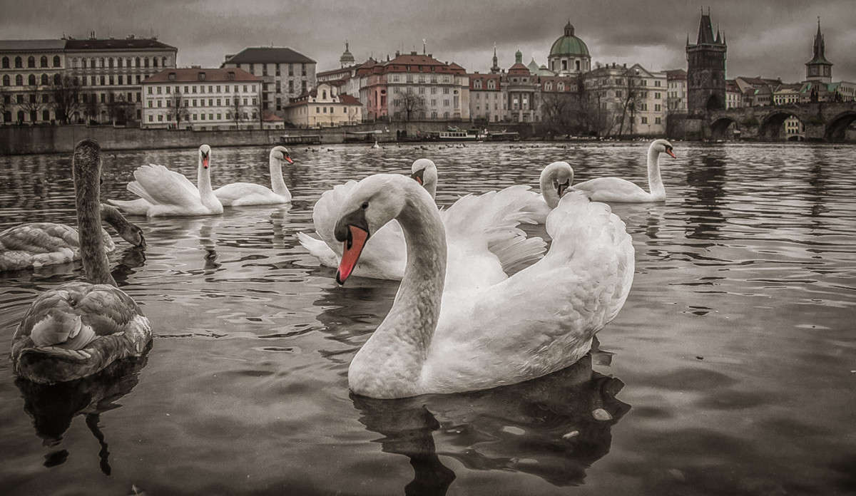 ������ ����� ����� �������  �� PhotoGeek.ru #�������� ���