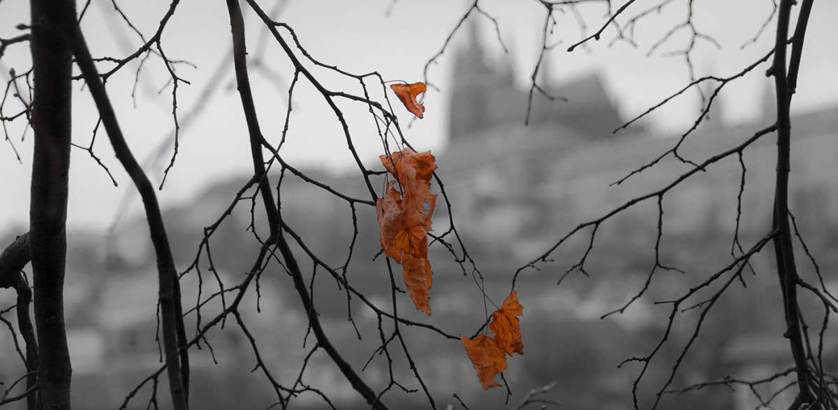 ������� ����� �������  �� PhotoGeek.ru #������ ��� �������