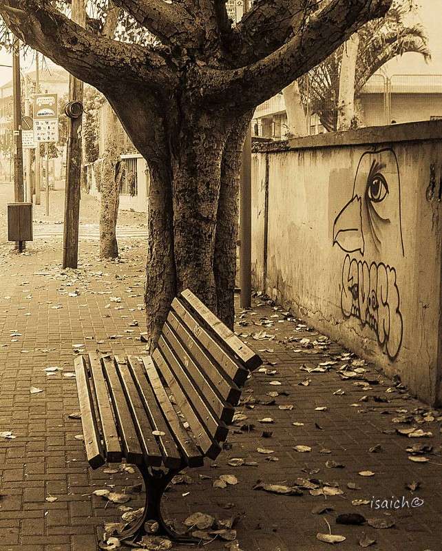 *** ����� �������  �� PhotoGeek.ru #����� #��������� ������