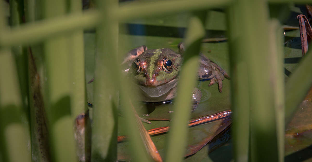 ������� ����� �������  �� PhotoGeek.ru #�������� ���