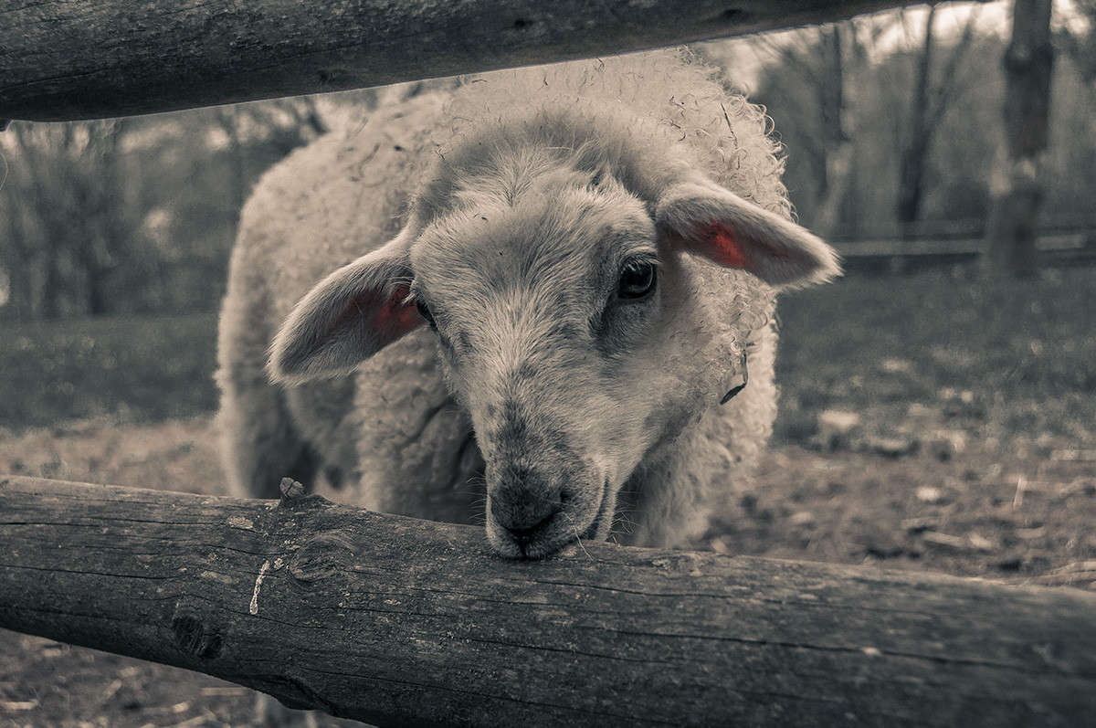 ����� ����� �������  �� PhotoGeek.ru #�������� ���