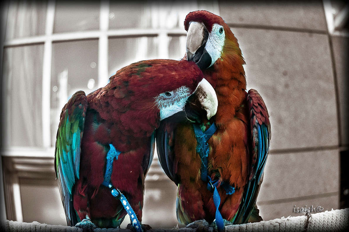 ... ����� �������  �� PhotoGeek.ru #�������� ��� #�������� ����������