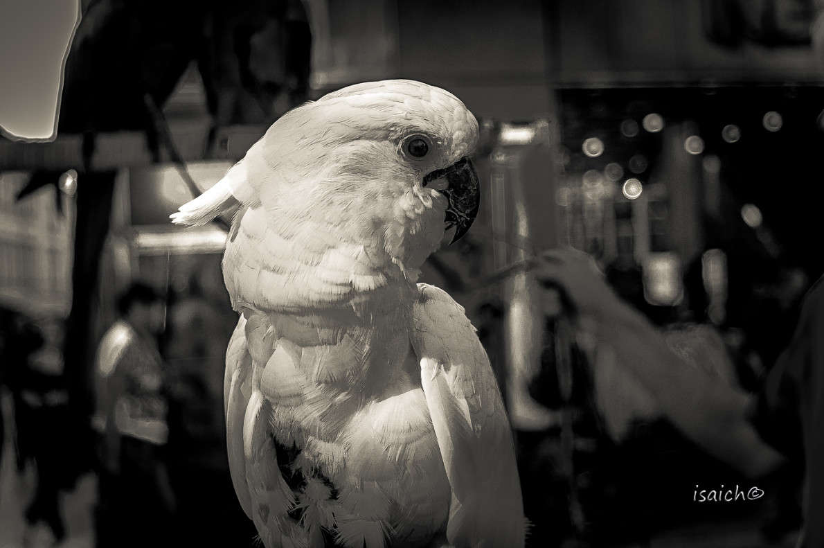 ... ����� �������  �� PhotoGeek.ru #�������� ��� #�������