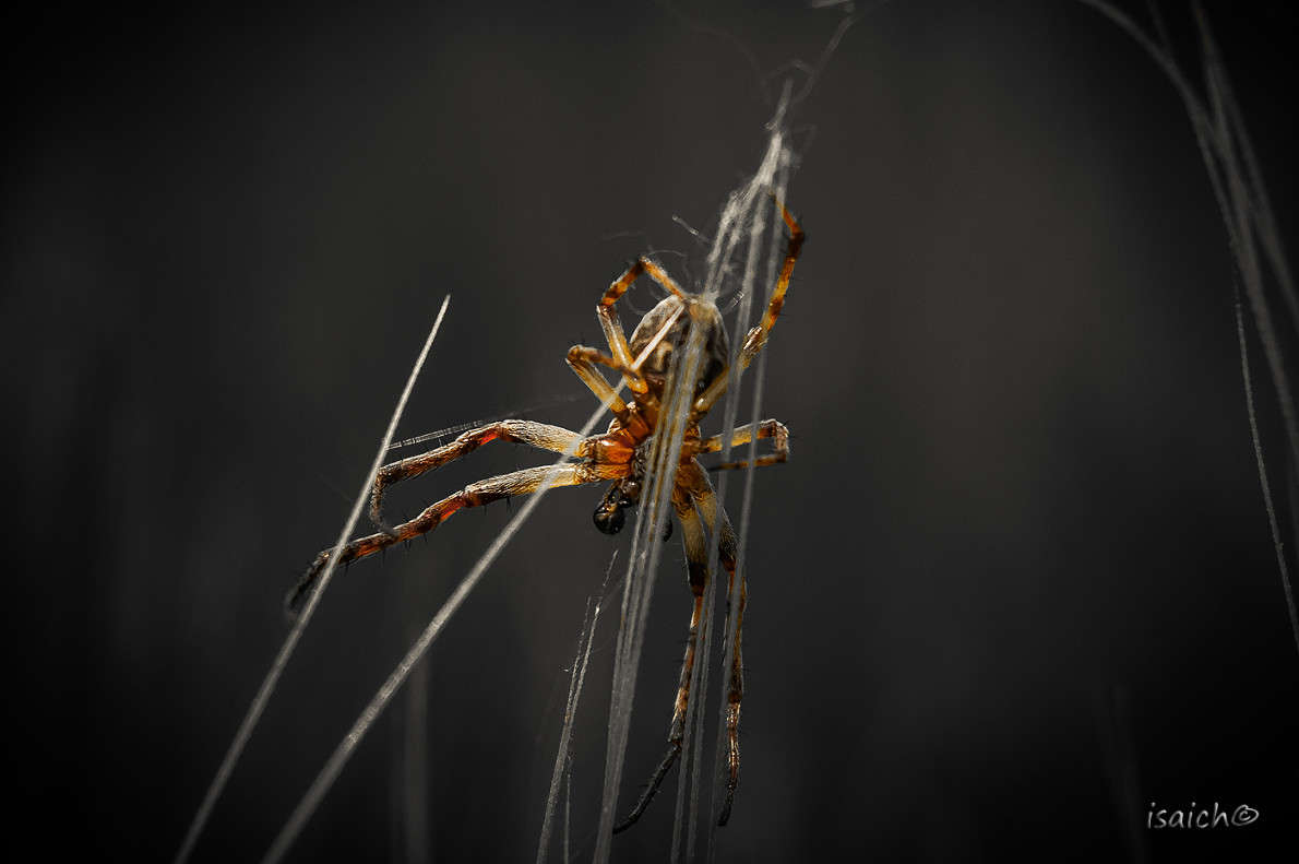 *** ����� �������  �� PhotoGeek.ru #����� #�������� ��� #������ ��� �������