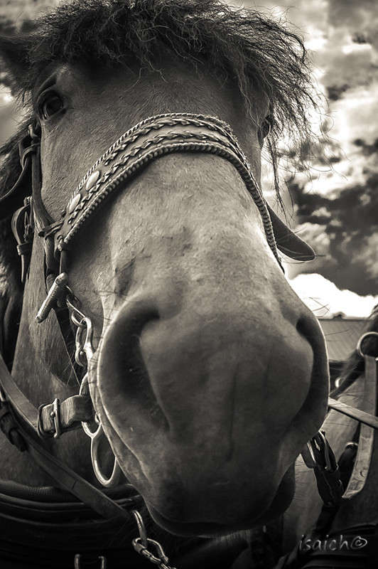 ��������� ����� �������  �� PhotoGeek.ru #������� #�����-�����