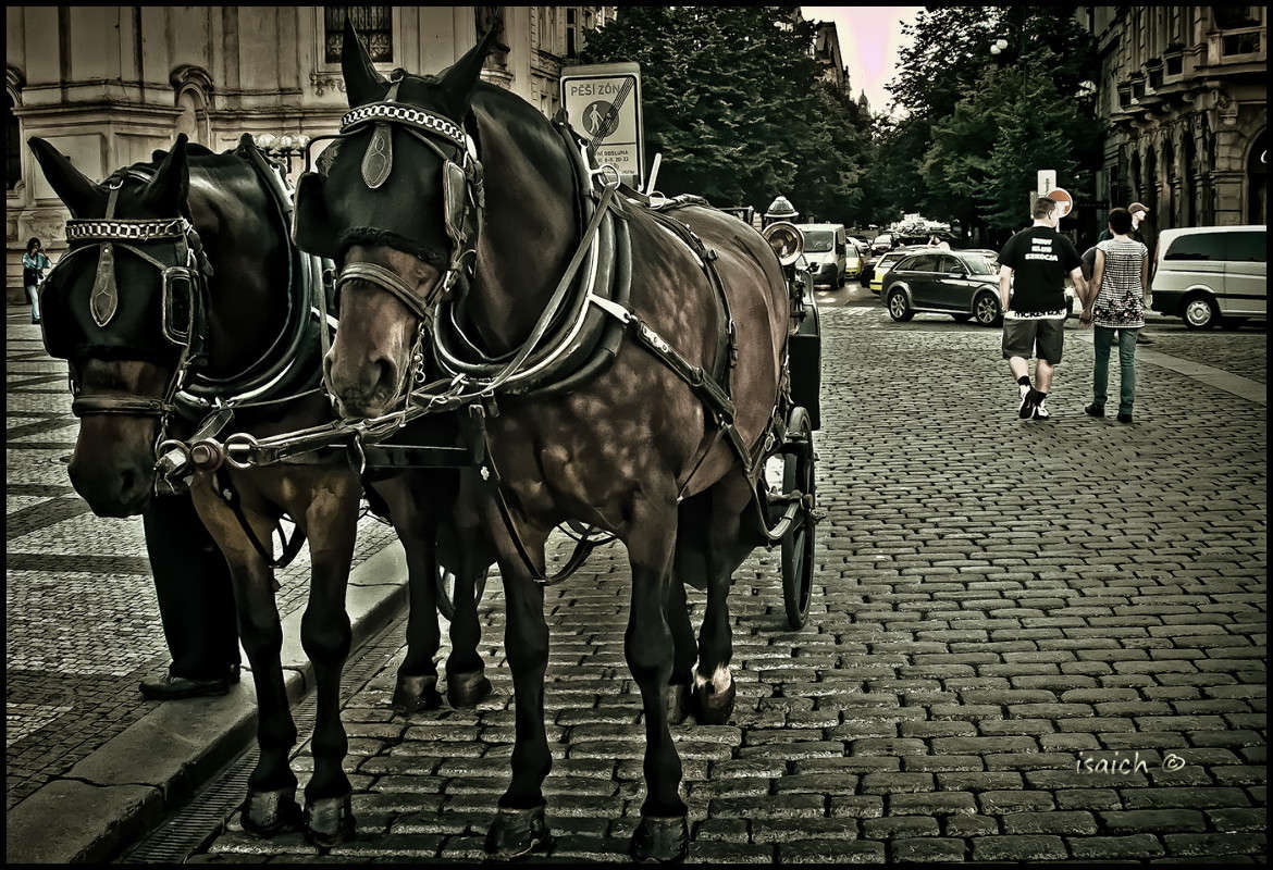 ����� � ��� �� ������ ���� ��������... ����� �������  �� PhotoGeek.ru #����� #�������� ��� #�����-���