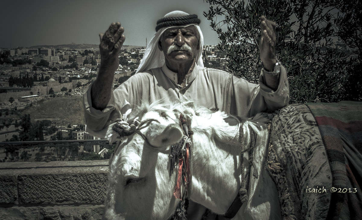 ... ����� �������  �� PhotoGeek.ru #�������� ���������� #������� #�����-����