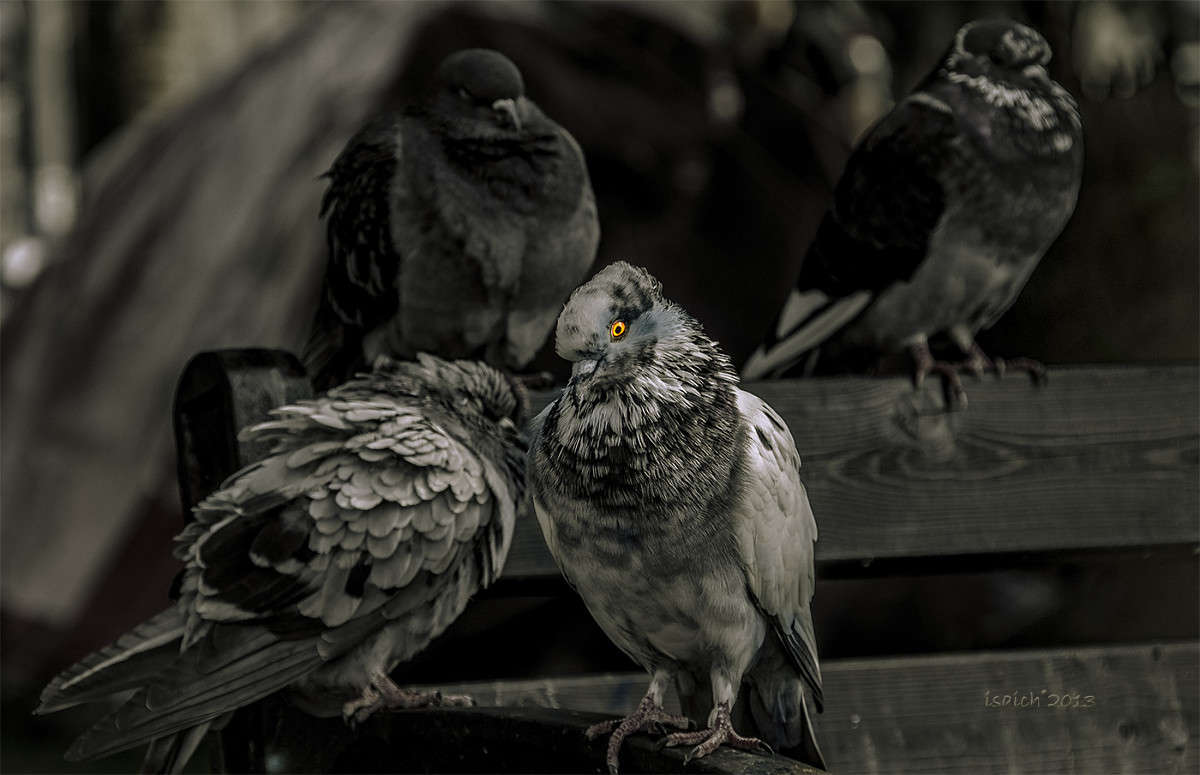 ... ����� �������  �� PhotoGeek.ru #�������� ��� #������ ��� ������� #������